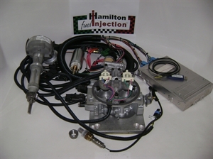Picture of Throttle Body Injection Kit